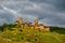 Thurant Castle and vineyards above Moselle river near Alken, Germany.