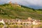 Thurant Castle and vineyards above Moselle river near Alken, Germany.