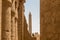 Thutmose I obelisk at the centre of Karnak temple with the sandstone columns, Egypt