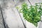 Thyme bunch. Bundle of fresh thymes in a Rustic enameled mug on a wooden background. Copy space.