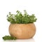 Thyme Herb