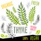 Thyme icon label fresh organic vegetable, vegetables nuts herbs spice condiment color graphic design vegan food.