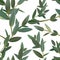 Thyme leaf green seamless pattern Vector isolated set of leaves