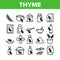 Thyme Plant Product Collection Icons Set Vector