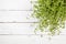 Thyme plant on rustic white table, top view