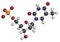 Thymidine monophosphate (TMP, thymidylate) nucleotide molecule. DNA building block. Atoms are represented as spheres with