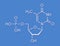 Thymidine monophosphate TMP, thymidylate nucleotide molecule. DNA building block. Skeletal formula.