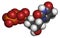 Thymidine triphosphate (TTP) nucleotide molecule. DNA building block. Atoms are represented as spheres with conventional color