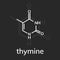 Thymine chemical formula