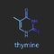 Thymine chemical formula