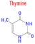 Thymine nucleobase molecule. present in DNA. Skeletal formula.