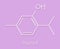 Thymol oil of thyme molecule. Present in kitchen herb Thymus vulgaris. Has antiseptic and preservative properties. Skeletal.