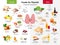 Thyroid cartoon character and foods for thyroid health, good and bad meals icon set in flat design isolated on white