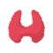 Thyroid cartoon icon