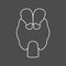 Thyroid. Endocrine gland. Illness of the endocrine system. Line icon