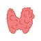 Thyroid gland with goiter body organ outline icon