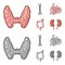 Thyroid gland, spine, small intestine, large intestine. Human organs set collection icons in cartoon, monochrome style