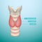 Thyroid Hormone Secretion. Endocrinology System. Vector Illustration.