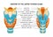 Thyroid Trachea Anatomy Composition