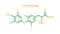 Thyroxine hormone molecular formula. Human body hormones symbol