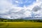 ThÃ¼r, Germany - 05 18 2021: yellow blooming oilseed fields under dramatic clouds