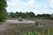 ThÃ¼r, Germany - 09 08 2022: dry swamp lake in nature reserve ThÃ¼rer Wiesen
