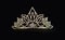 Tiara or diadem or crown on black