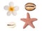 Tiare flower, starfish and shells