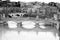 Tiber river. Vittorio Emanuele bridge II. Monochrome photography