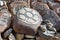 Tibet. Buddhist prayer stones with mantras and ritual drawings on the trail from the town of Dorchen around mount Kailash