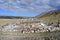 Tibet. Buddhist prayer stones with mantras and ritual drawings on the trail from the town of Dorchen around mount Kailash