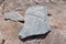 Tibet. Buddhist prayer stones with mantras and ritual drawings on the trail from the town of Dorchen around mount Kailash