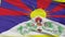 Tibet Flag Closeup Seamless Loop