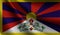 Tibet flag waving. background for patriotic and national design. illustration