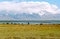 Tibet, Manasarovar lake.