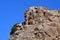 Tibet, one of the geoglyphs on rock on the shore of the sacred lake Nam-Tso Nam Tso against the blue sky, 4718 meters above sea