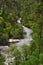 Tibet river in the forest