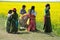 Tibetan children in seed field