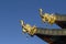 Tibetan Dragon style on temple roof, Shangrila ,China