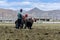 Tibetan farmer plough by draught Yak on farmland in Tibet, China