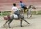 Tibetan Horse Racing