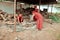 Tibetan Monks