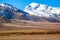 Tibetan plateau scene-Overlook tibetan gazelles (Procapra picticaudata)