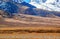 Tibetan plateau scene-Overlook tibetan gazelles (Procapra picticaudata)