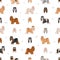 Tibetan terrier seamless pattern. Different poses, coat colors set