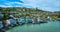 Tiburon waterfront properties on Lyford Cove aerial of city on hillside