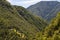 Ticino rusticos in forest mountain range