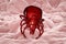 Tick Ixodes, an arthropod responsible for transmission of bacterium Borrelia burgdorferi