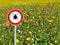 Tick sign in flower field