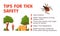 Ticks safety tips, mite bites prevention infographics, flat vector illustration on white background.